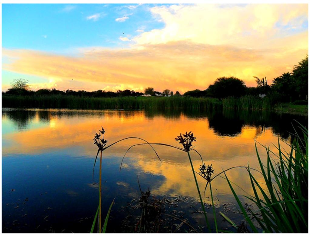Phakalane Golf Estate Hotel Resort Gaborone Faciliteter billede